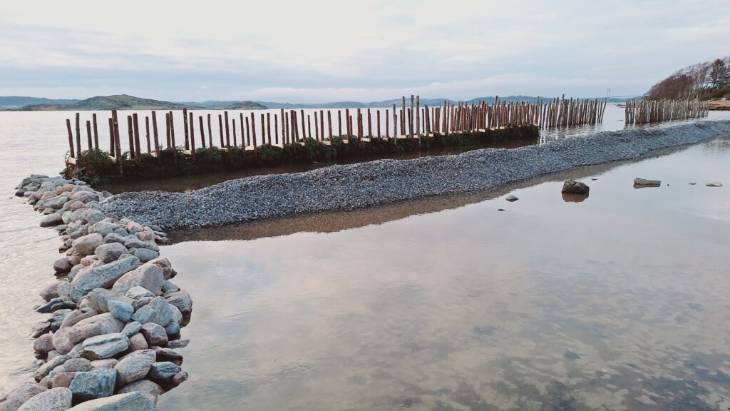 En konstruktion av pålar och ris samt stenrev vid en strand vid havet.
