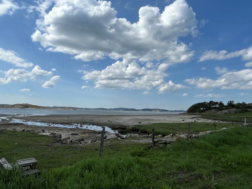 Vy över en strandäng en försommardag