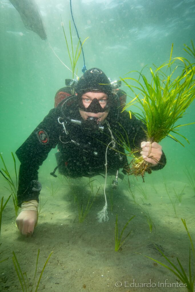Undervattensbild på en dykare med grönt gräs i vänster hand.